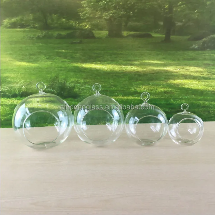 Hanging Glass Planter Round Air Plant Terrarium Glass Decorations for Succulent Tillandsia