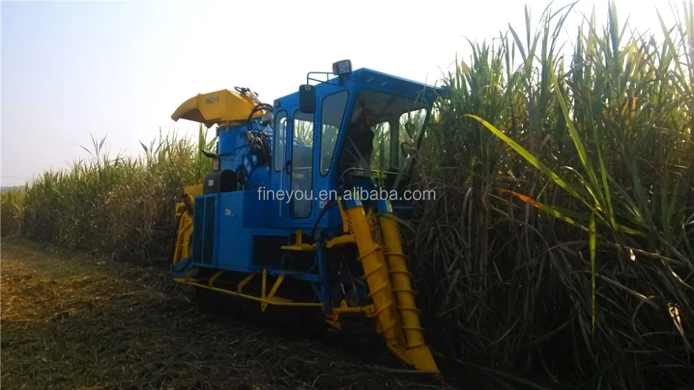 Crawler cut segment sugarcane harvester