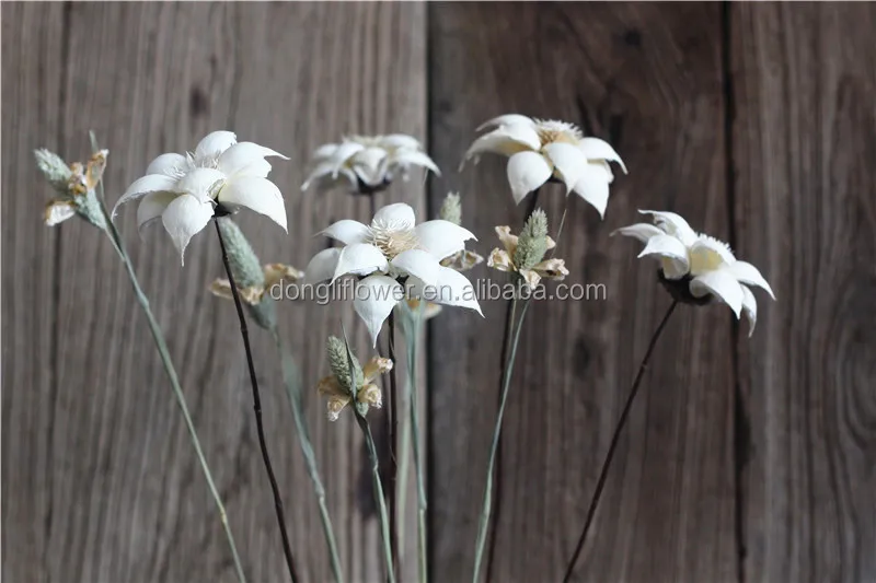 Dried Artificial Flower arts by natural Tung tree fruit shell