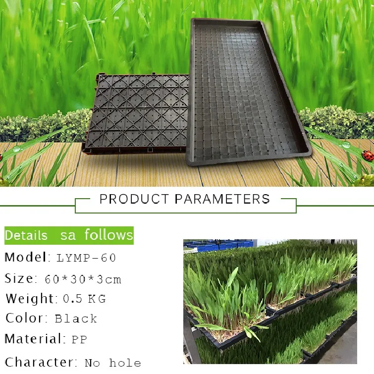 600*300mm Size plastic seedling tray for rice paddy seed nursery sowing
