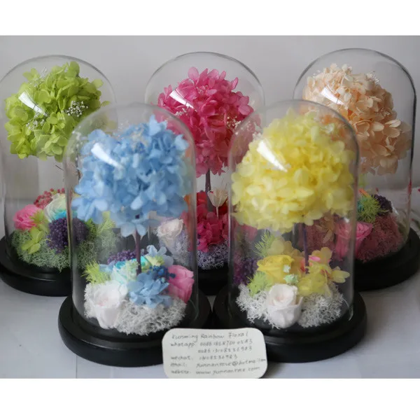 Kept More Than 3 Years Rose Preservation in Water Globe for Gifts