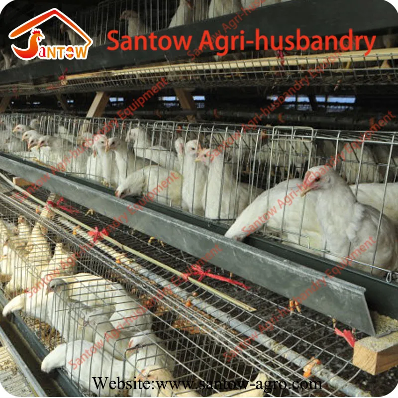 Pakistan Libya Turkey poultry farm layer cage chicken layer poultry designs
