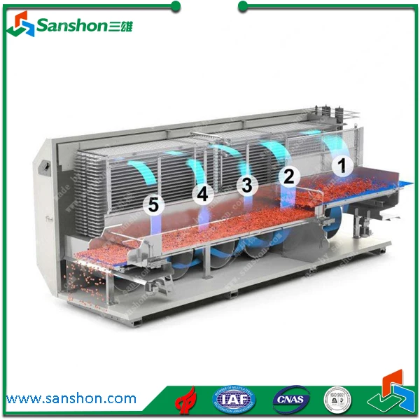 China Vegetable Processing Washing Line,Frozen Vegetable And Fruit Production Line,Vegetable IQF Freezing Line Machine