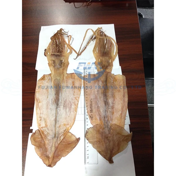 
dried illex squid price 
