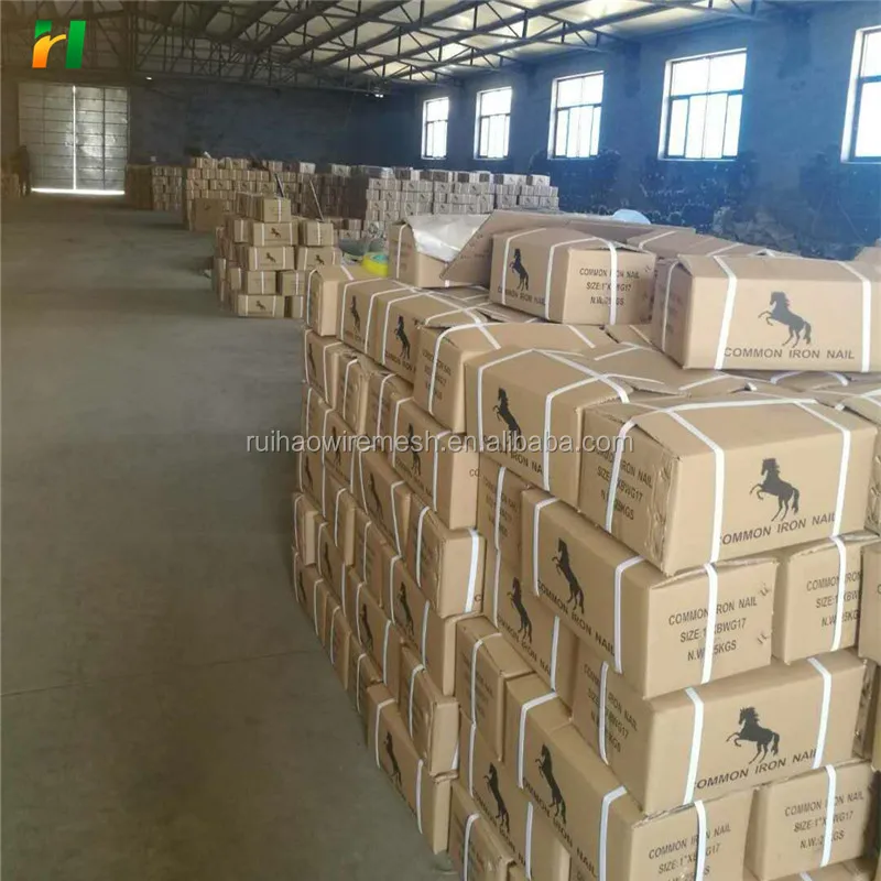 Cheap Price Q195 Common Wire Nail/Iron Nail/Polished wood Nails