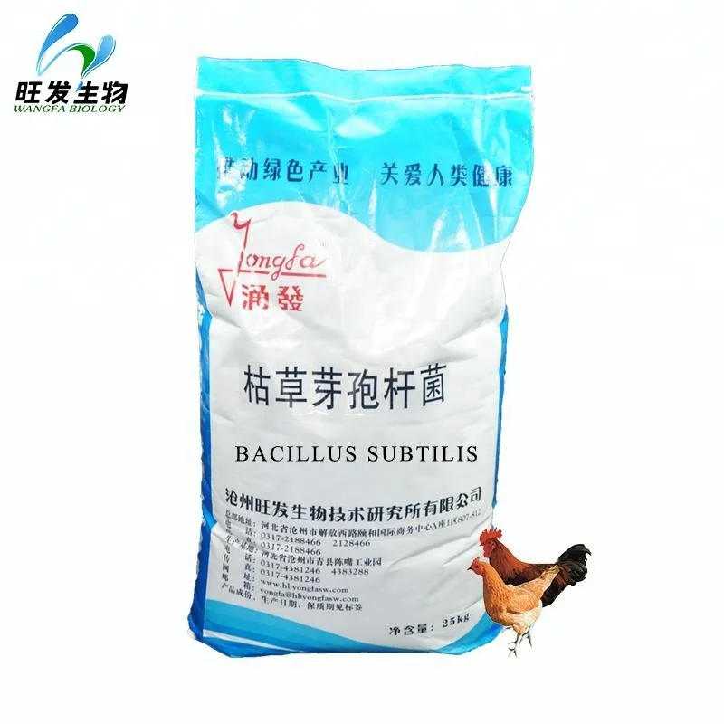 
Bacillus Subtilis 