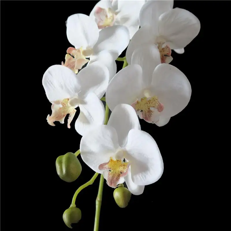 52cm Simulation White Phalaenopsis Orchid with Pot and Leaves