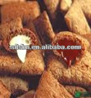 Chocolate Core Filled Snacks Machinery