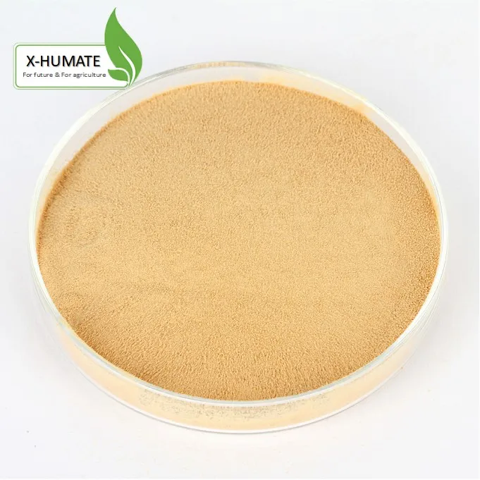 Supply Natural Organic Animal/Plant source 60% Compound Amino Acid