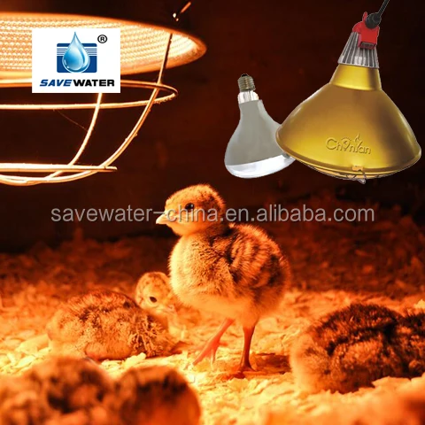 Waterproof infrared poultry heat lamp Brooding bulb 120-130V 220-240V 175W-375W