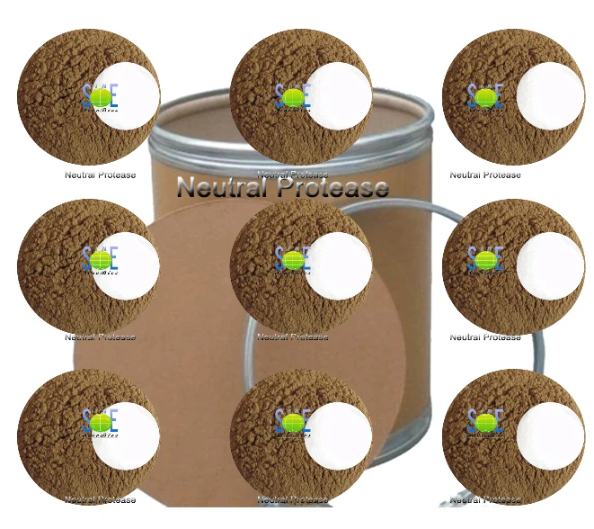 Neutral Protease DJFEWJ256