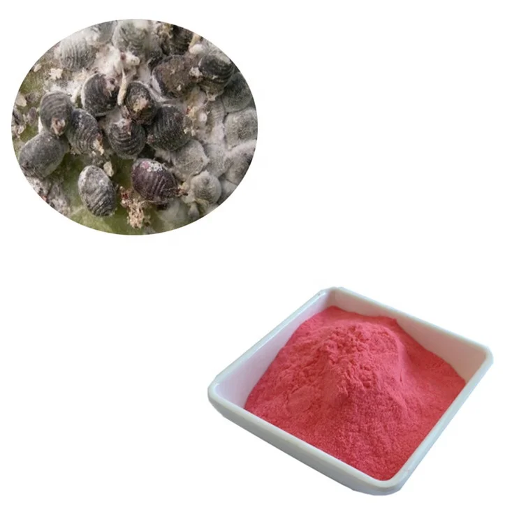 Wholesale Cochineal Red Extract Carmine Powder Food Dye with Best Price