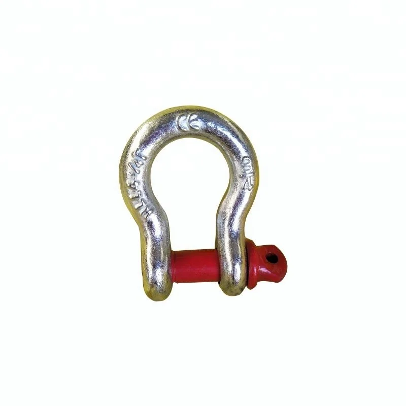 
US Type Drop Forged Anchor D Shackle 