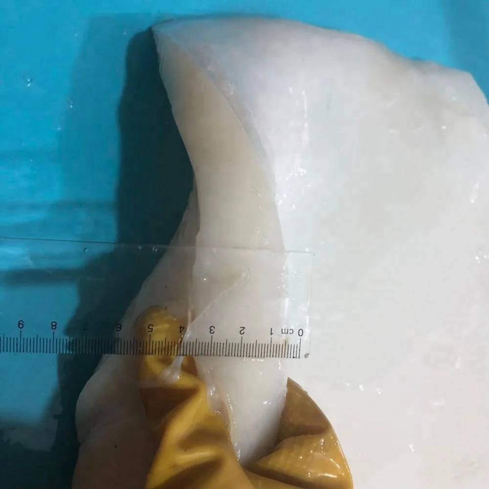 Frozen Giant Squid Boiled Fillets