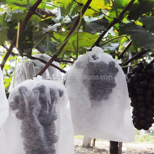 
Banana fruit cover bag,fruit protection bag mango, fruit cover bag 