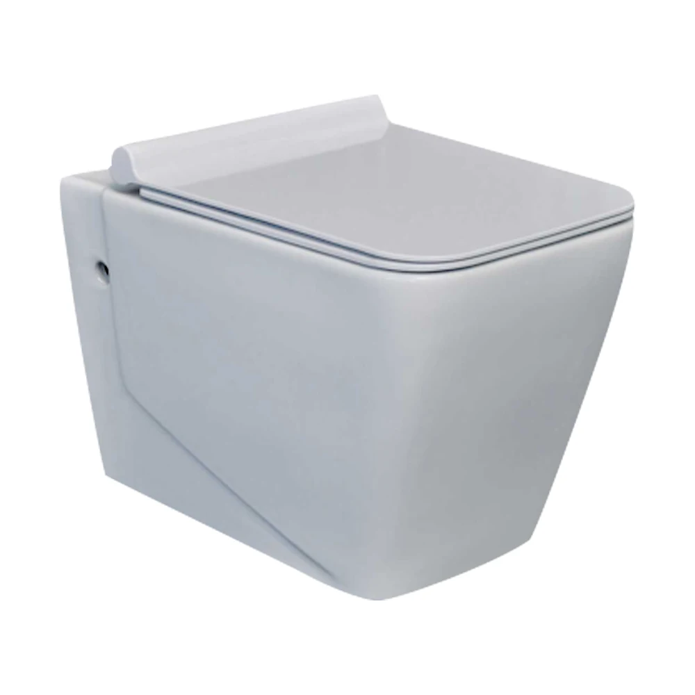 wall-hung rimless toilet bathroom cistern hidden sanitary ware