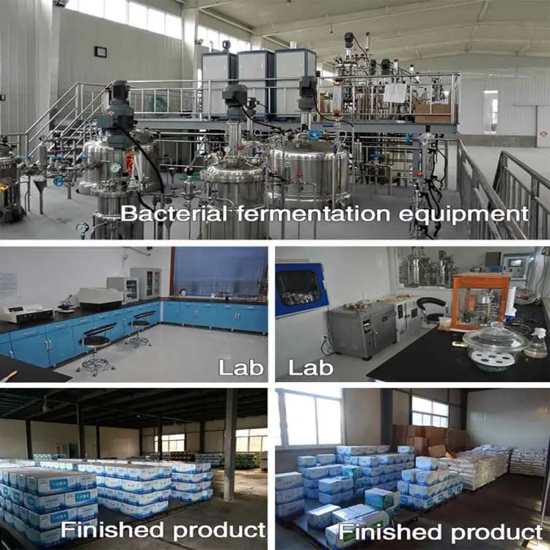 
swine, hoggery, hog, piglet, sow, growing pigs,fattening pigs used bio probiotics feed ingredient 