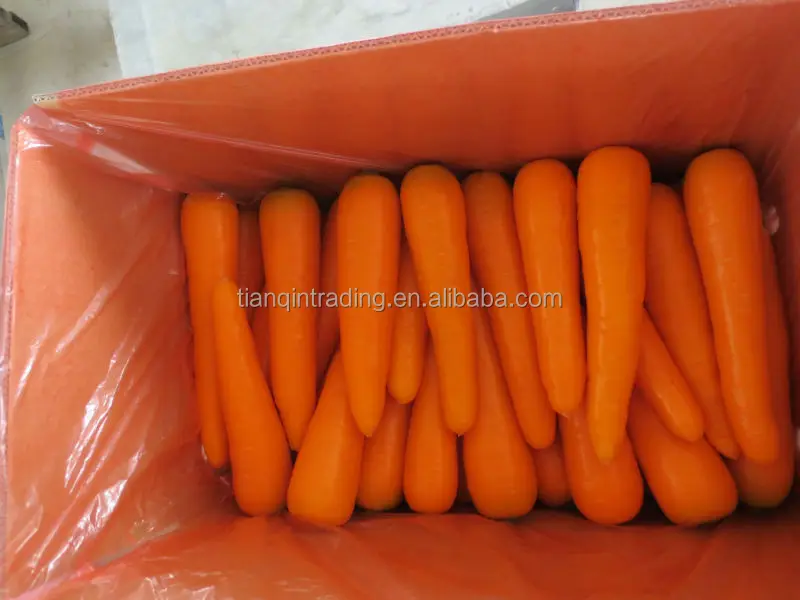 Chinese Carrot Supplier
