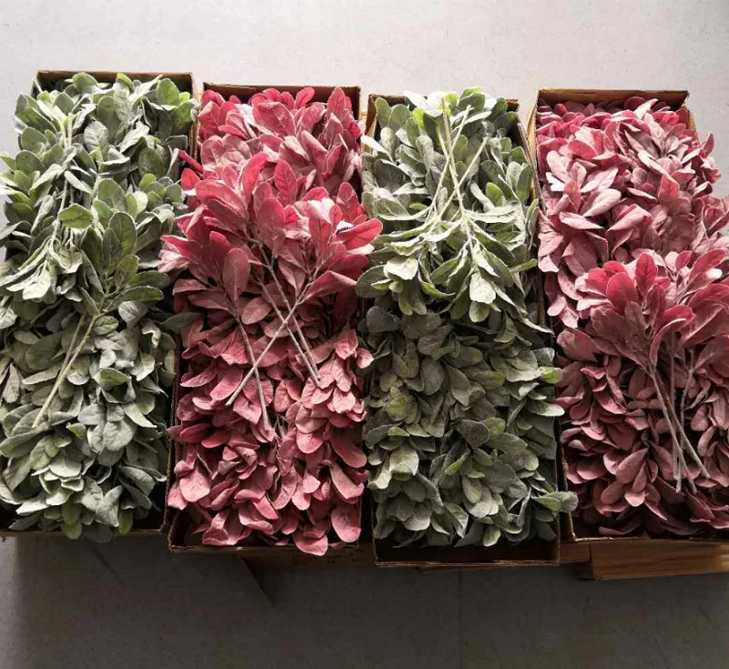 FC7512 Wholesale artificial plants Senecio cineraria Dusty Miller greenery