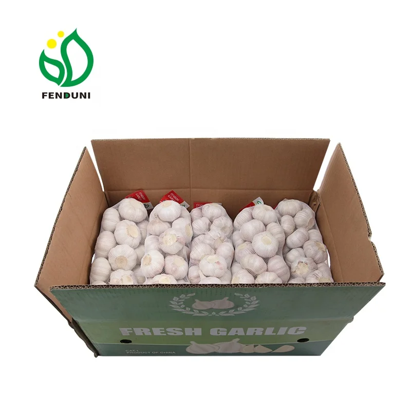
China Low Price Best Garlic 5.5cm up in box 10kg 