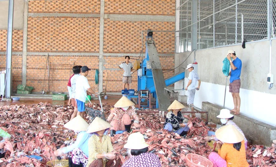 Fish Meal Machine/Fish Meal Treatment Plant/Fish Meal Making Machine