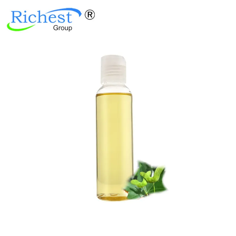 
Manufacture 100% Pure and Natural Essencial oil Acer truncatum Seed Oil 