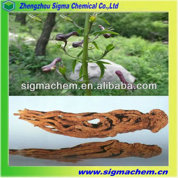 
Pharmaceutical Grad Raw Material Root of Aconitum Sinomontanum Nakai 