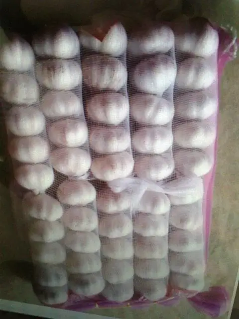 New crop Pure white garlic normal white garlic export from China