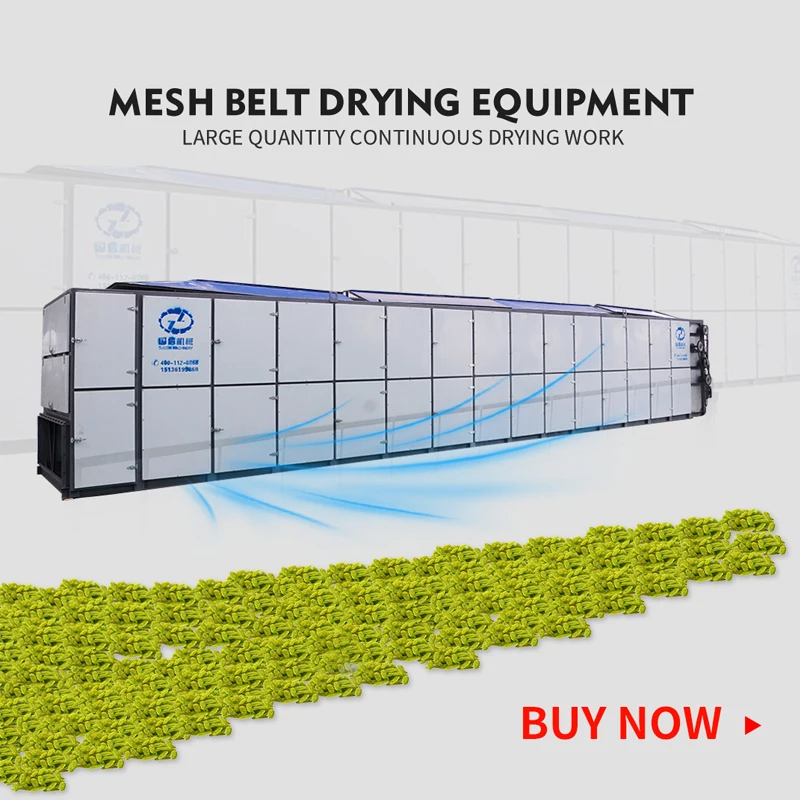 
Hemp hot air drying machine with Industrial stainless steel continuous herbs mesh belt drying machine 