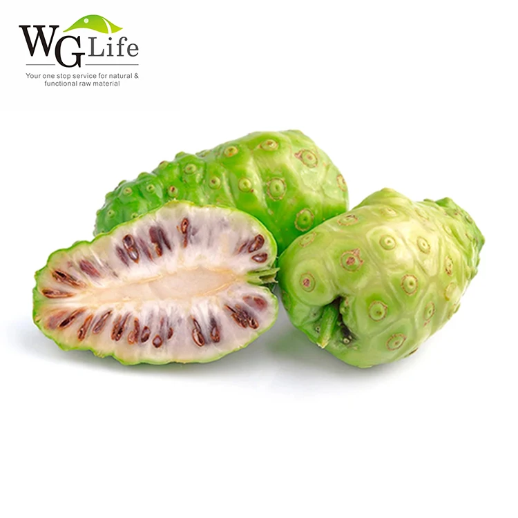 Hot Product Morinda Citrifolia Noni Dried Concentrate Juice Powder Plant Extract
