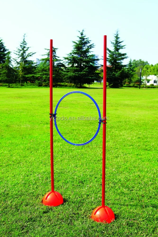 Made in china YIWU Agility pole Speed Training Equipment 6 Poles 12 Cones Carry Case