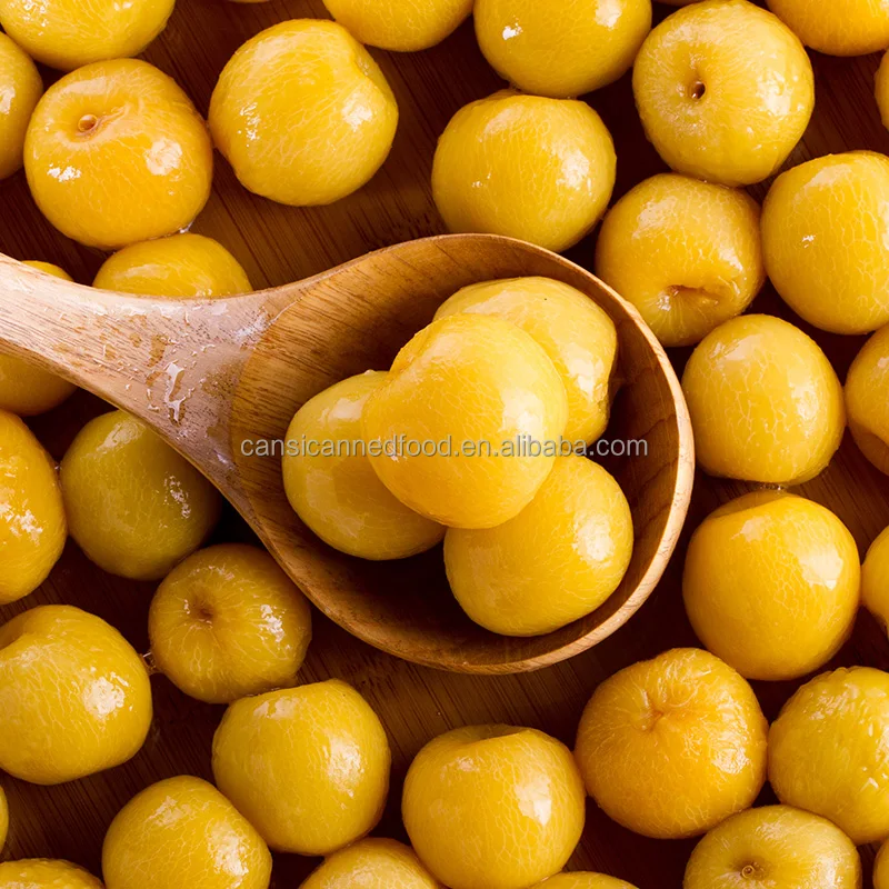 Bulk Sweet Preserved Fruit Plum Canned in Light Syrup