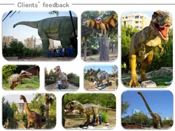 MY DINO L100  Life Size Animal Skeleton Fossil Hippo For Natural Museum