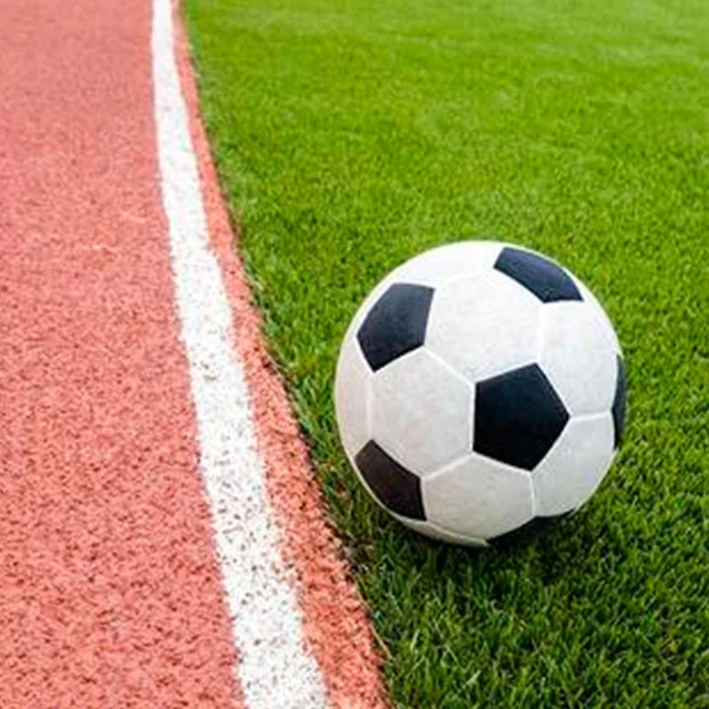 
Best Artificial Soccer Field Synthetic Grass 