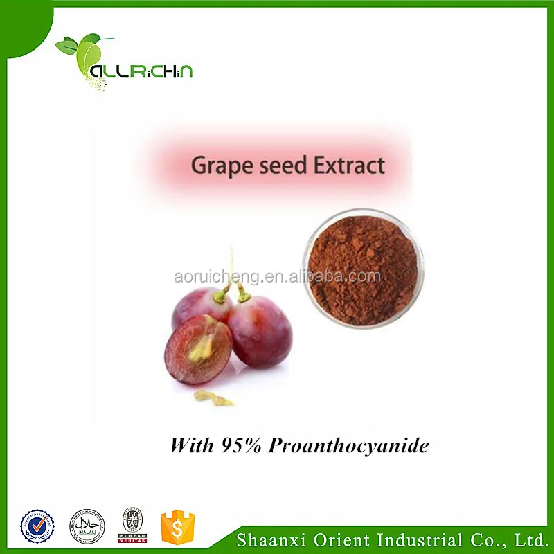 Grape Seed Extract  With 95% OPC and best price