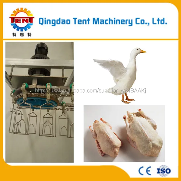 poultry plucking machine