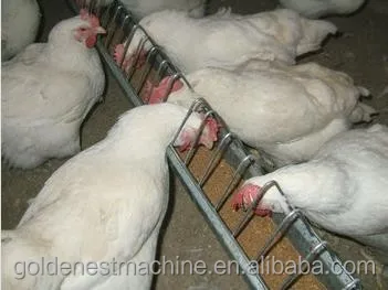 Goldenest poultry chain feeding system plastic scraper open feed trough for breeder layer equipment supplies