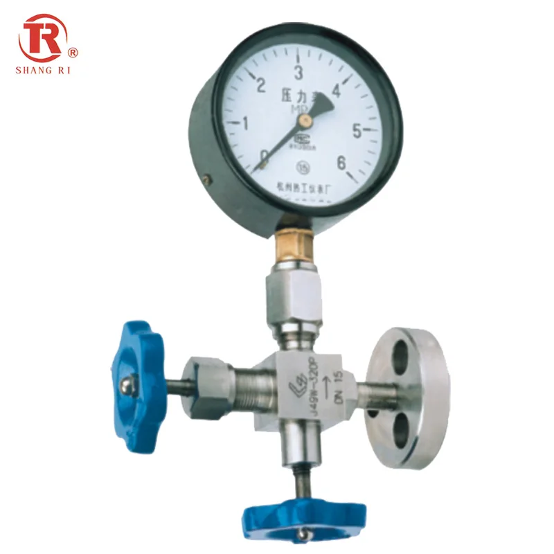 
Hot Sale Factory High Pressure Gauge Needle Valve Flange Thread type SS 