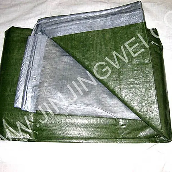 waterproof and double side PE tarpaulin with eyelets and rope