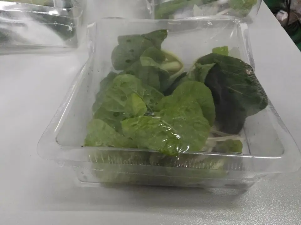 
DC-5540 L-shaped High quality Heat tunnel shrink wrapping packaging machine 