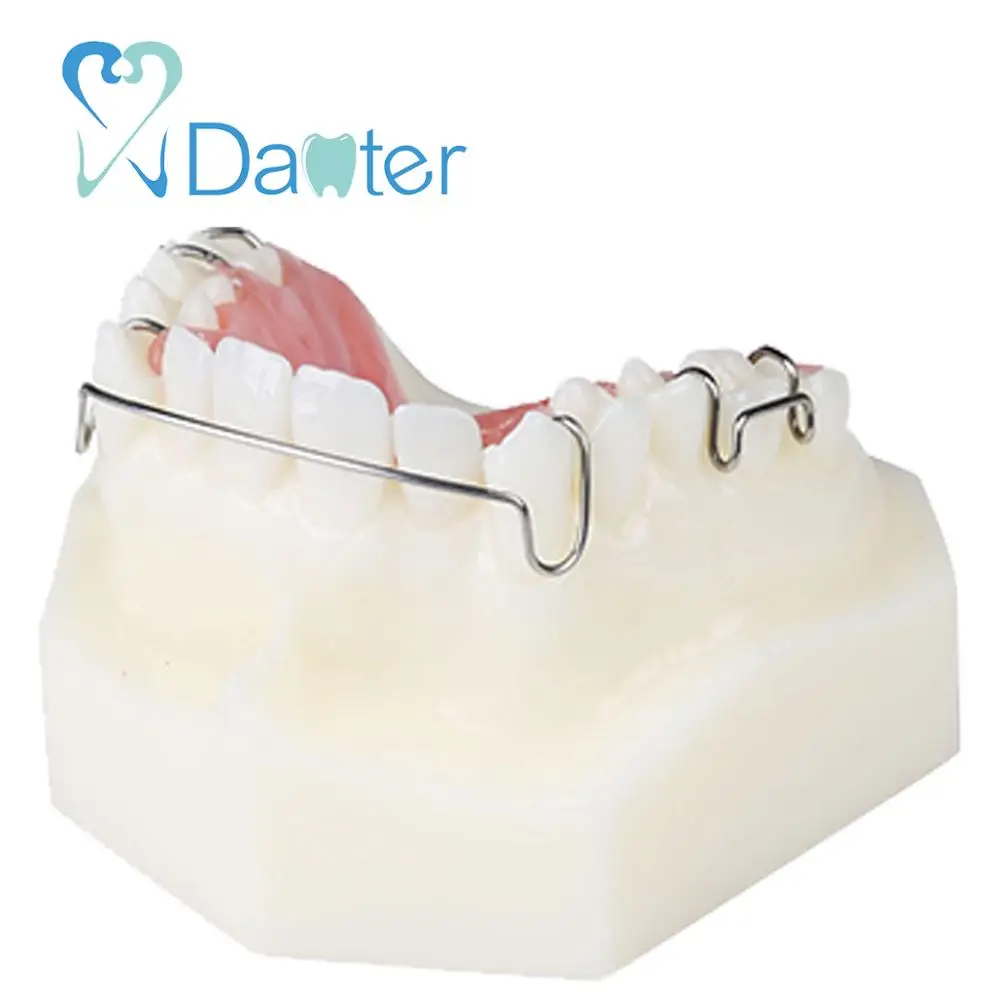 Dental Maxillary Retainer After Orthodontic Treatment Model - White Color