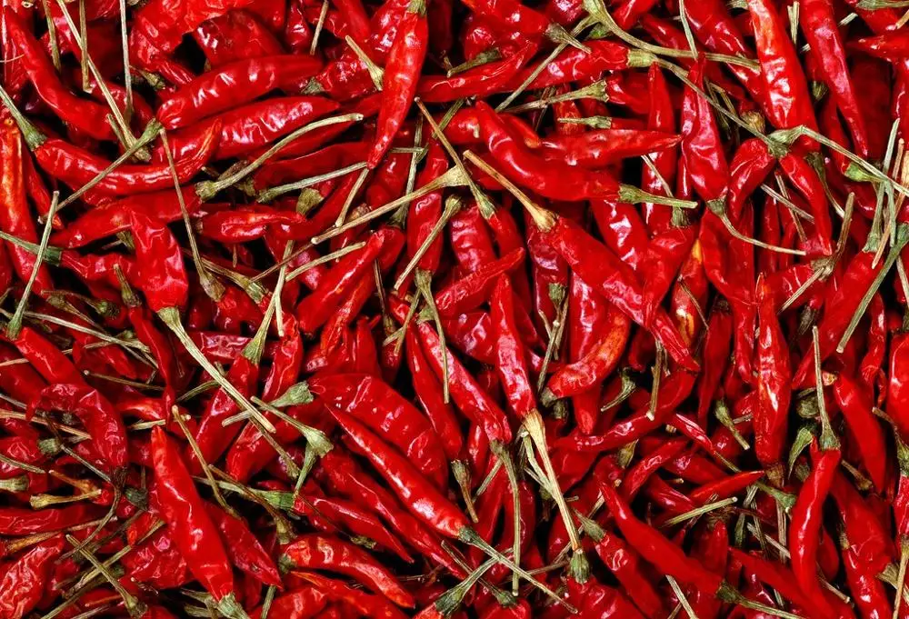 
Low consumption dryer heating fan electrical heater chilli drier 