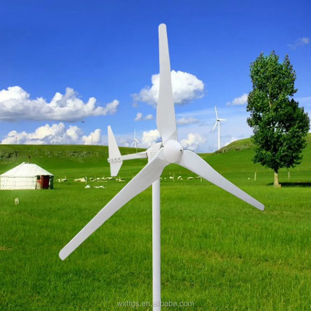 Roof top use 1kw micro wind mill with CE certificate