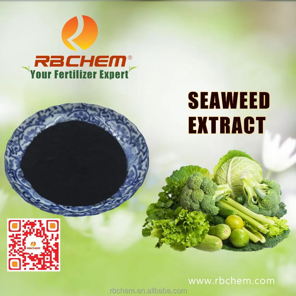 Plant Nutrients Agriculture Natural Seaweed Extract Organic Fertilizer In RBCHEM