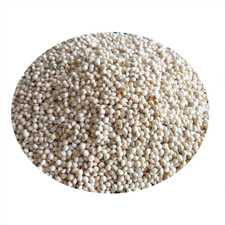 Лучшие семена конопли китайские промышленные оптом для оптовой продажи