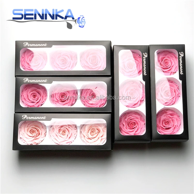 Preserved Rose Eternal Dried Flower Birthday Party Wedding