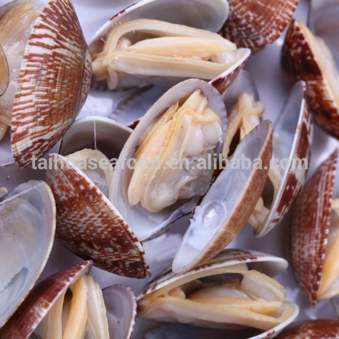 cooking and vacuum packed clams in frozen