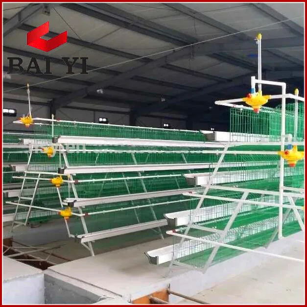 Factory Direct Price Battery Cages Laying Hens Sell in Algeria