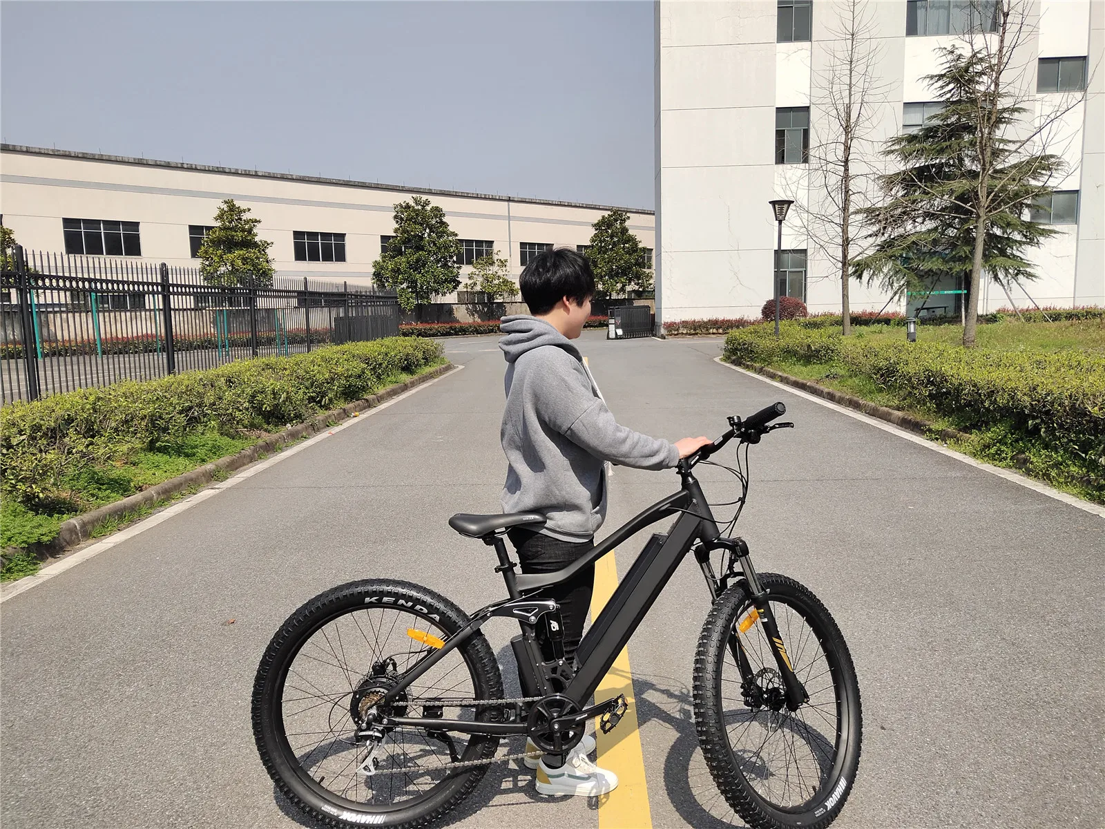 
PETRIGO Retail 27.5inch Full suspension Moutain electric bike 36 250w (option: 48v500w) 7 Speed Fat Tire Electric Bicycle 