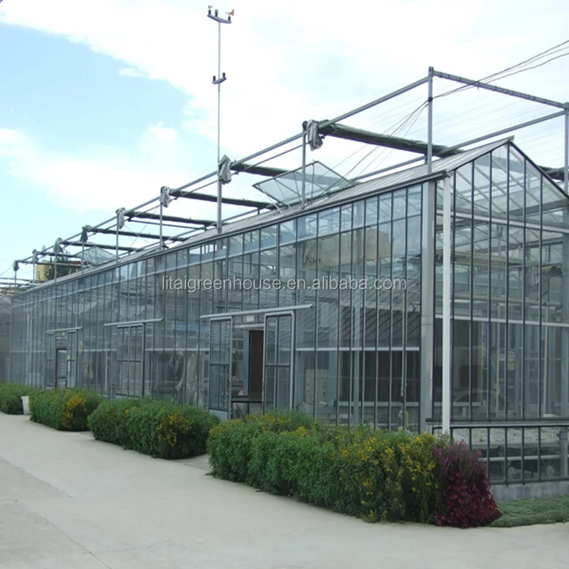 Multi span glass greenhouse